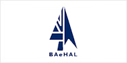 Aeronautical Engineering clients
