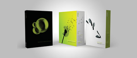 Branding Collaterals banner