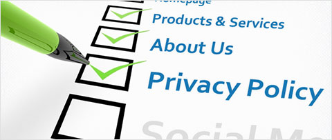Website Designing and Development 