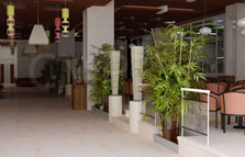 Interiors 3D Perspectives showcase