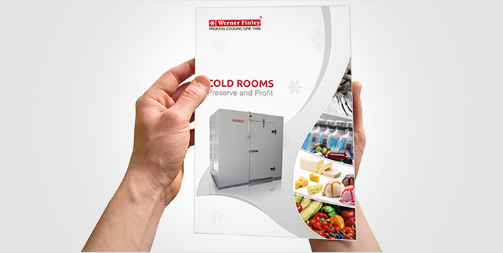 Brochure Design Showcase