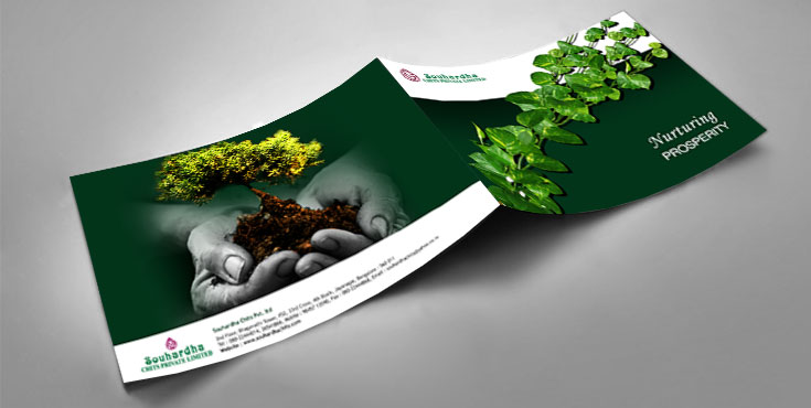 Brochure Design Showcase