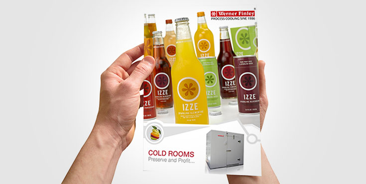 Brochure Design Showcase