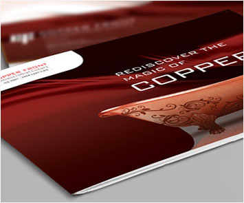 Brochure Design Showcase