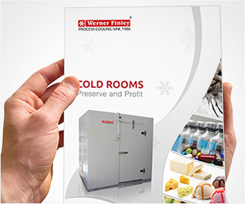 Brochure Design Showcase