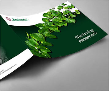 Brochure Design Showcase