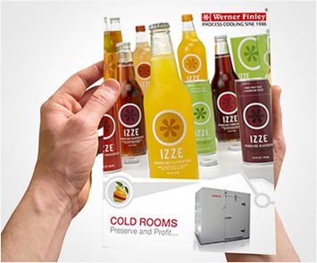 Brochure Design Showcase