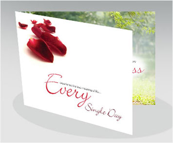 Brochure Design Showcase