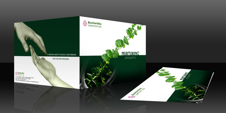 Brochure Design Showcase
