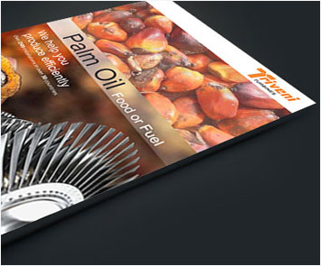 Flyers Design Showcase