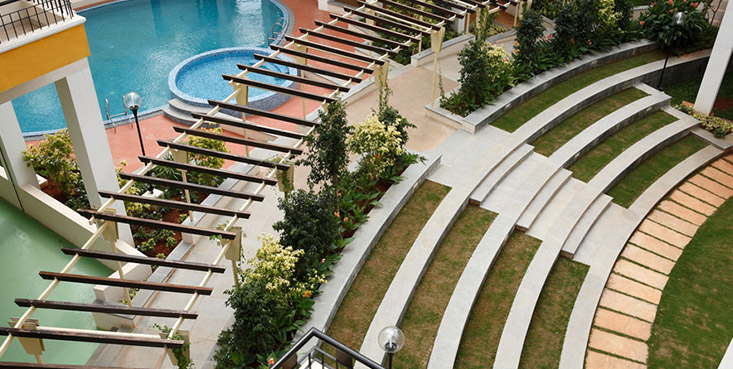 professional photography