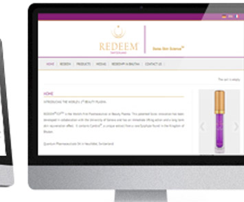 Web Application Design Showcase