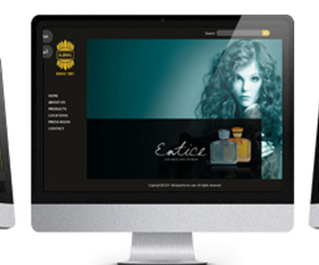 Web Application Design Showcase