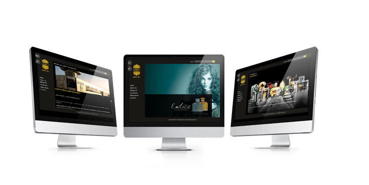 Web Application Design Showcase