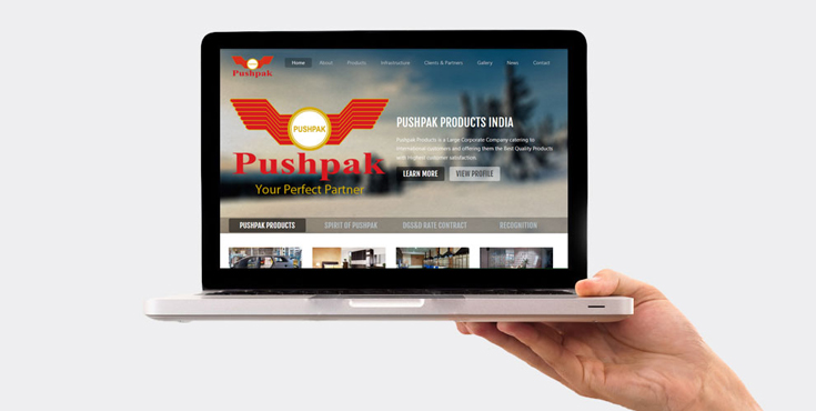 Web Page Design Showcase