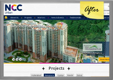 Website Redesign Design showcase