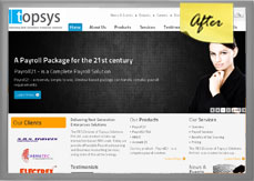 Website Redesign Design showcase